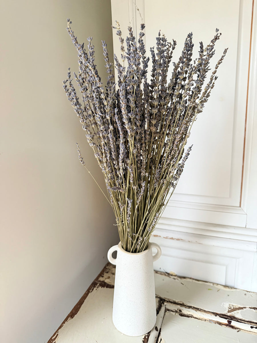 　[Deep & Natural Colours] Outlet & Samples