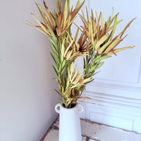 Naturally Dried Leucadendron - Australian Native
