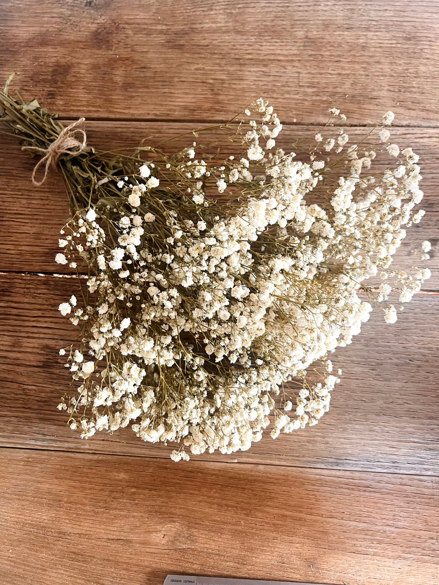 Everlasting Preserved Baby's Breath Bouquet [Mini/SM/ML]