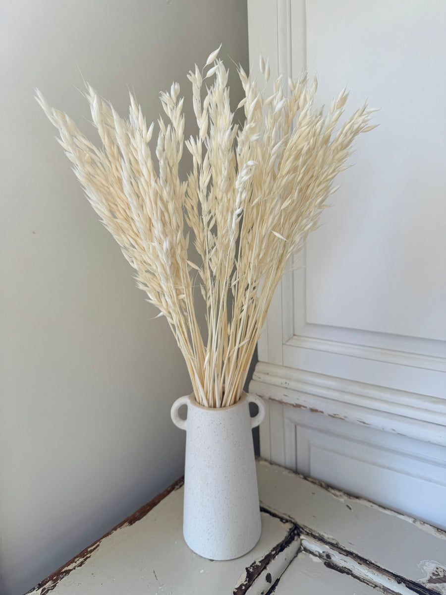Naturally Dried / Coloured Oat / Avena