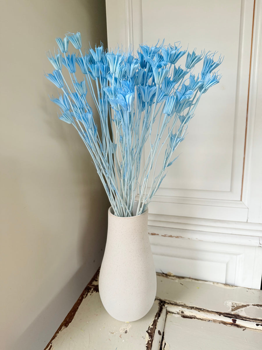 Naturally Dried / Coloured Nigella Flower