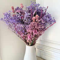 雏菊和含羞草花束[M] 保鲜干花