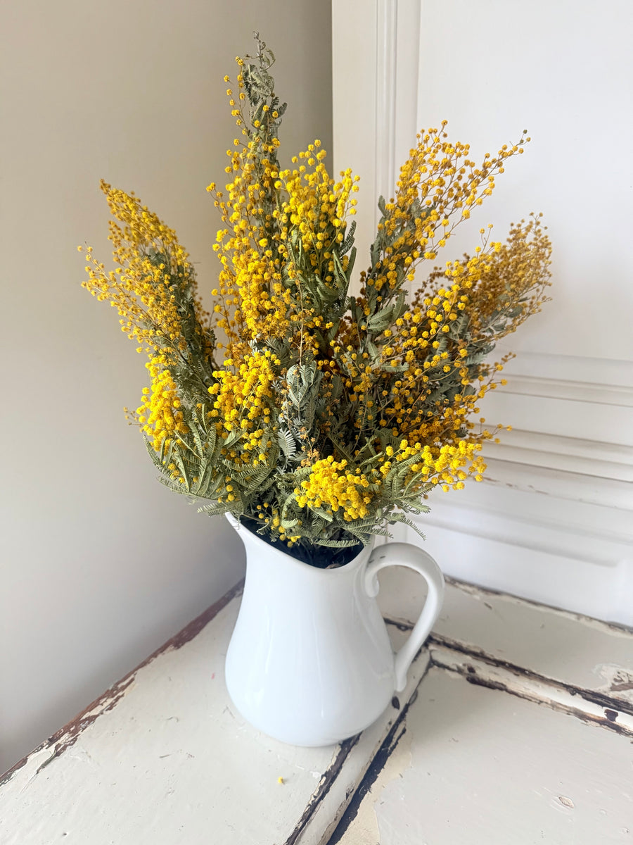 Naturally Dried Wattle / Mimosa Bouquet [SM] yellow