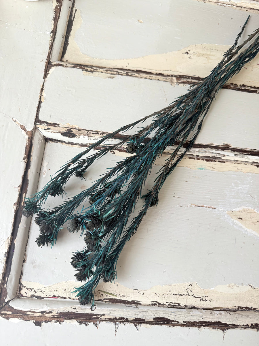 Outlet & Sample [flower stems / greenery]