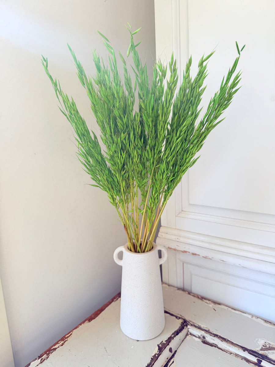 Naturally Dried / Coloured Oat / Avena