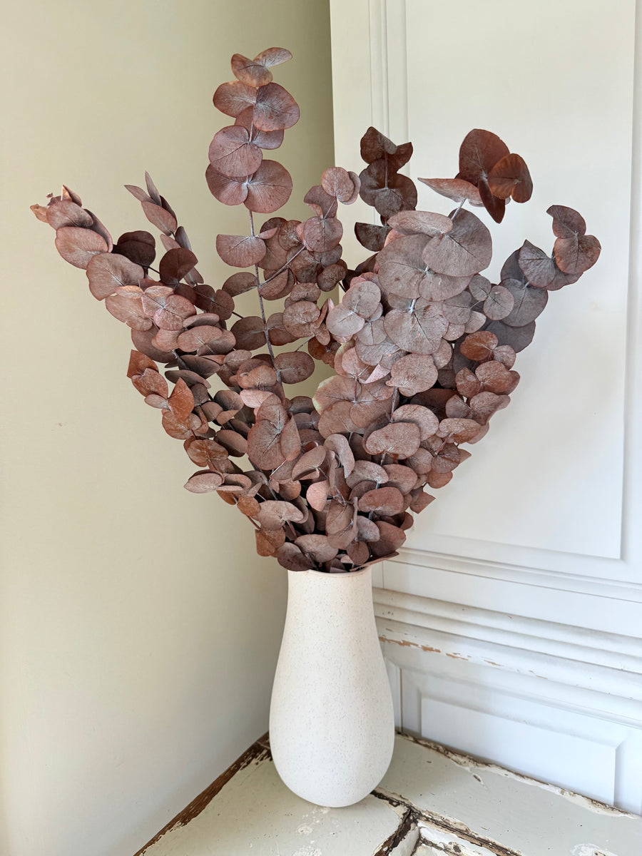 Preserved Eucalyptus / Gum