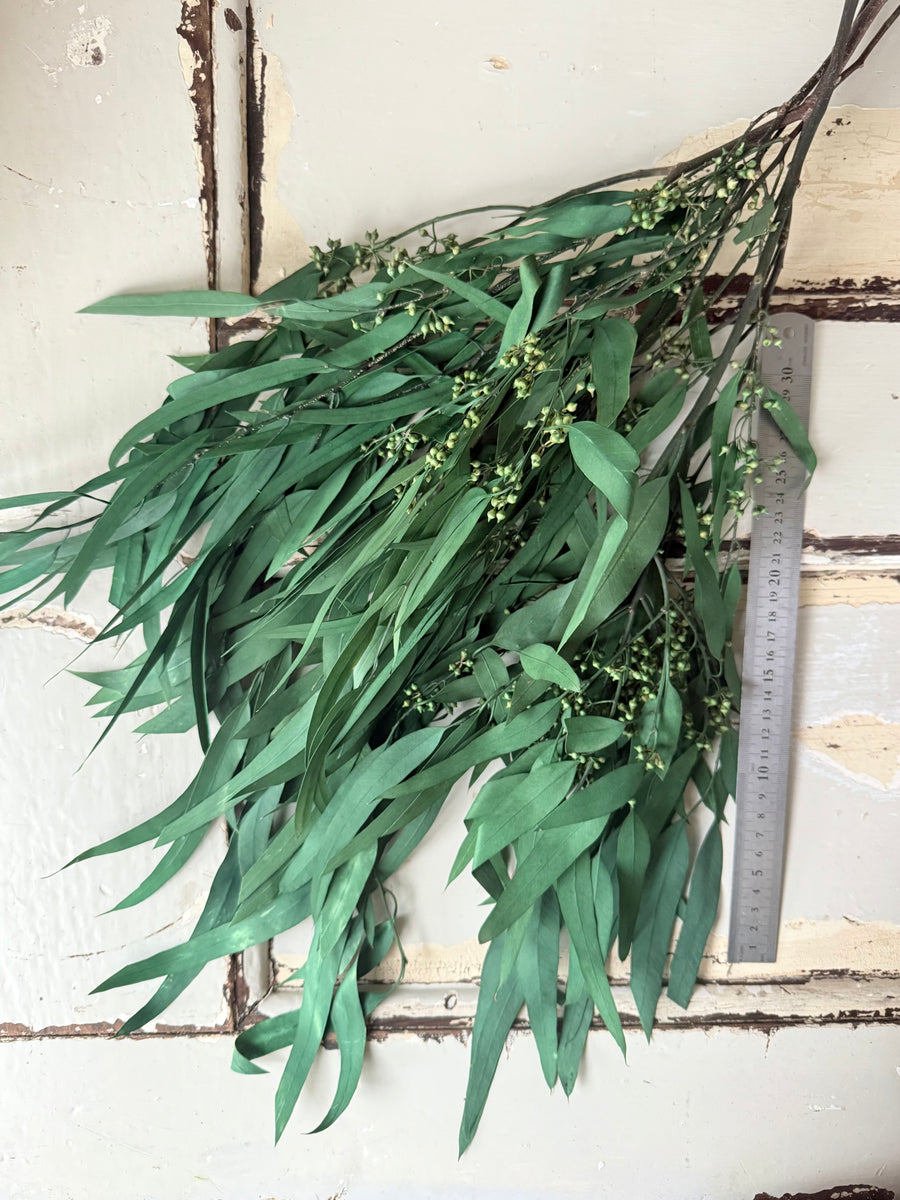 Preserved Eucalyptus / Gum