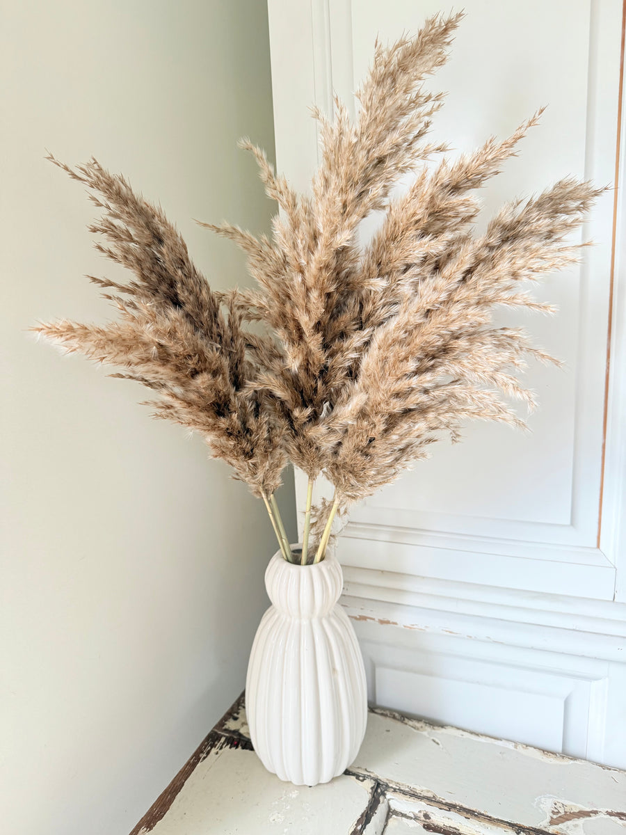 Naturally Dried Reed Canary Grass / Mischanthus Grass / Mini Pampas Grass