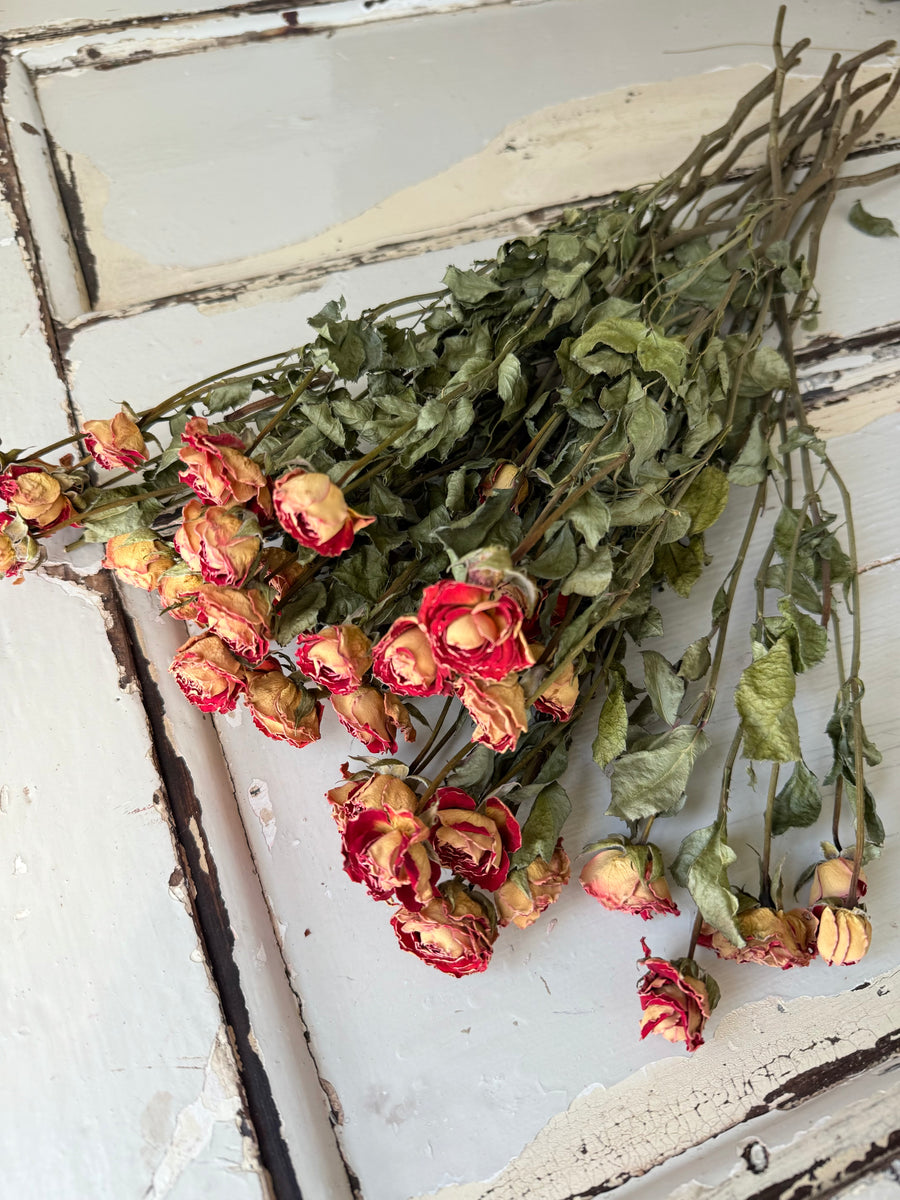 Naturally Dried Rose