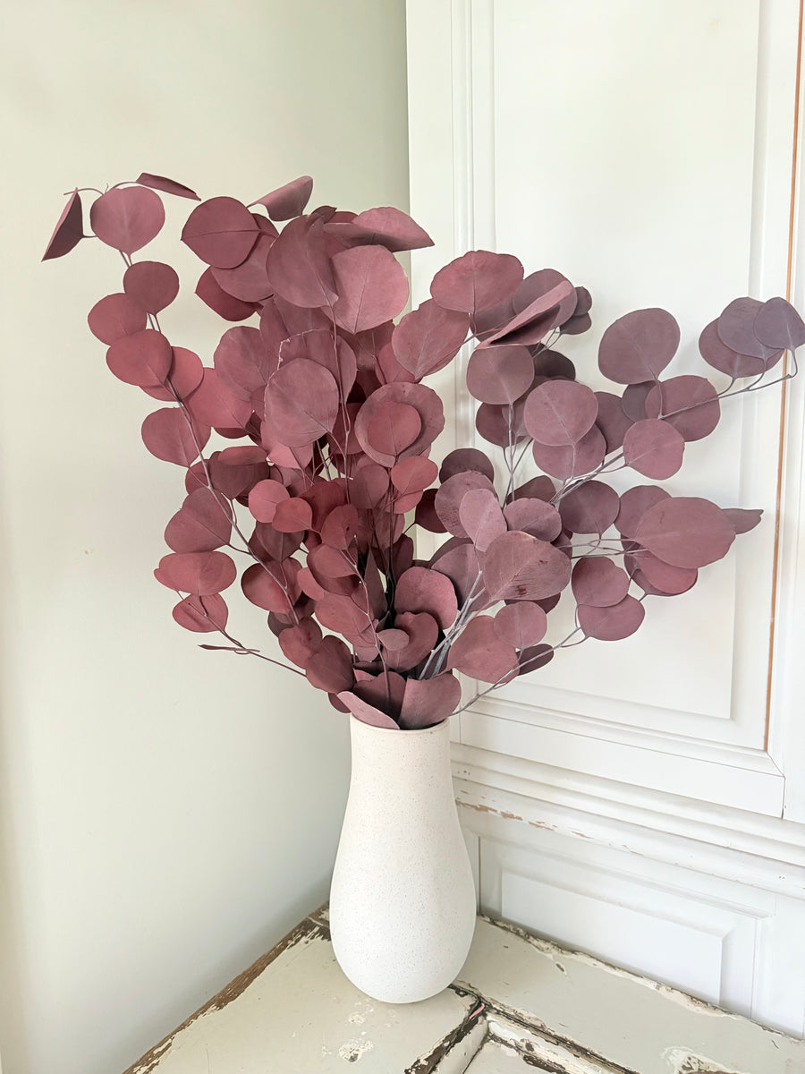 Preserved Eucalyptus / Gum