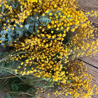 Naturally Dried Wattle / Mimosa / Acacia Flowers - Australian Native - natural yellow