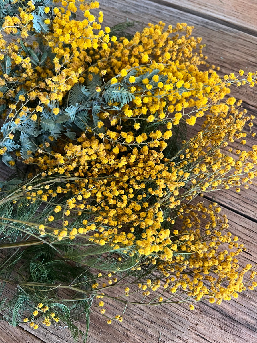 Naturally Dried Wattle / Mimosa / Acacia Flowers - Australian Native - natural yellow