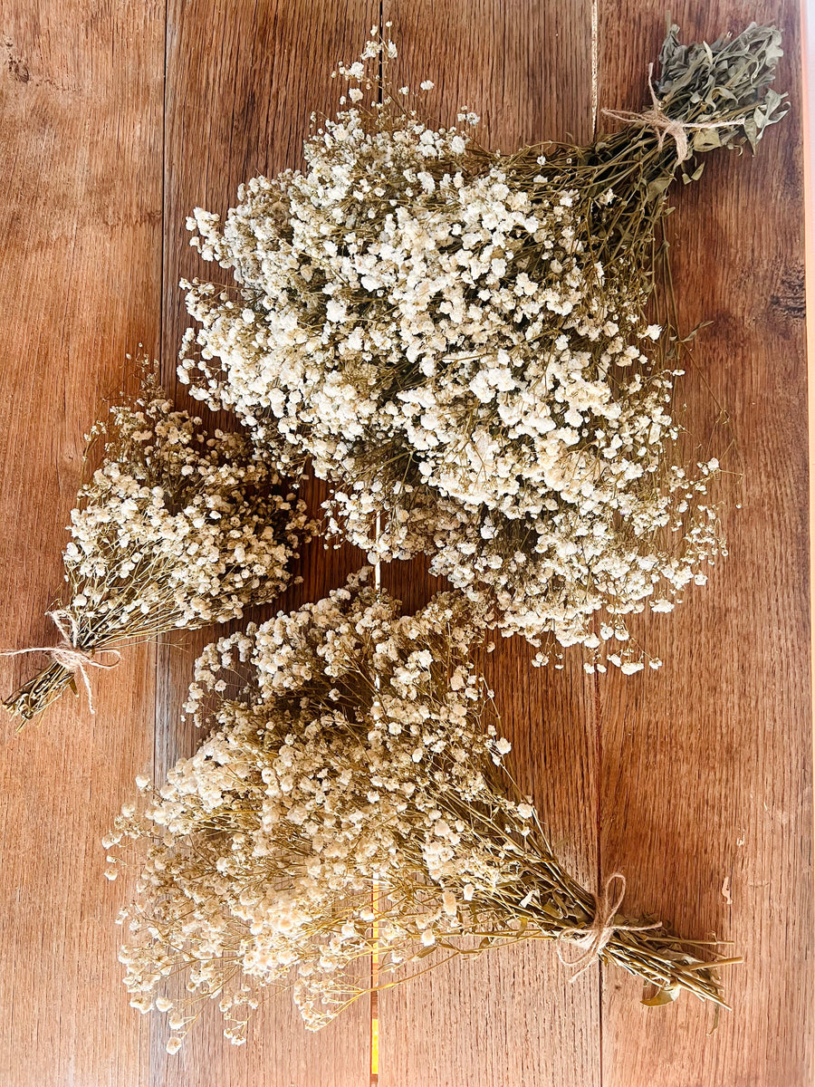 Everlasting Preserved Baby's Breath Bouquet [Mini/SM/ML]