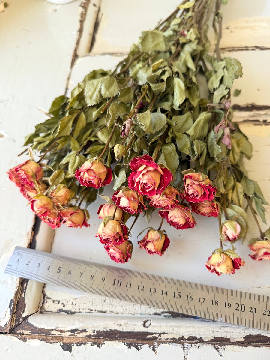 自然干燥玫瑰