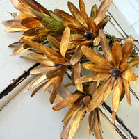 Outlet & Sample [flower stems / greenery]