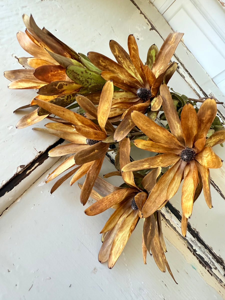Outlet & Sample [flower stems / greenery]