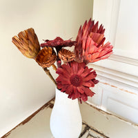 Dried Protea Repens