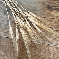 Naturally Dried Wheat