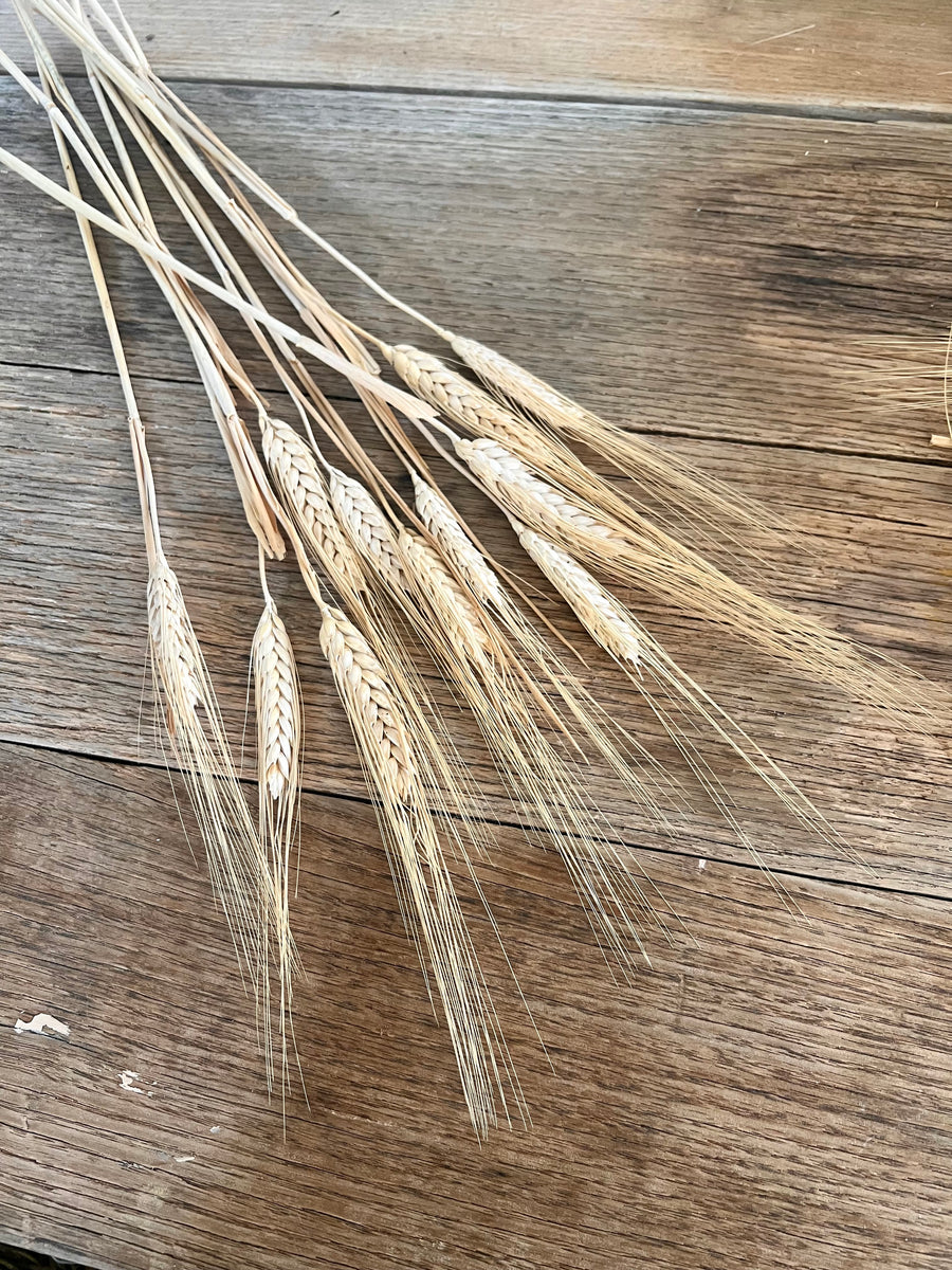 Naturally Dried Wheat