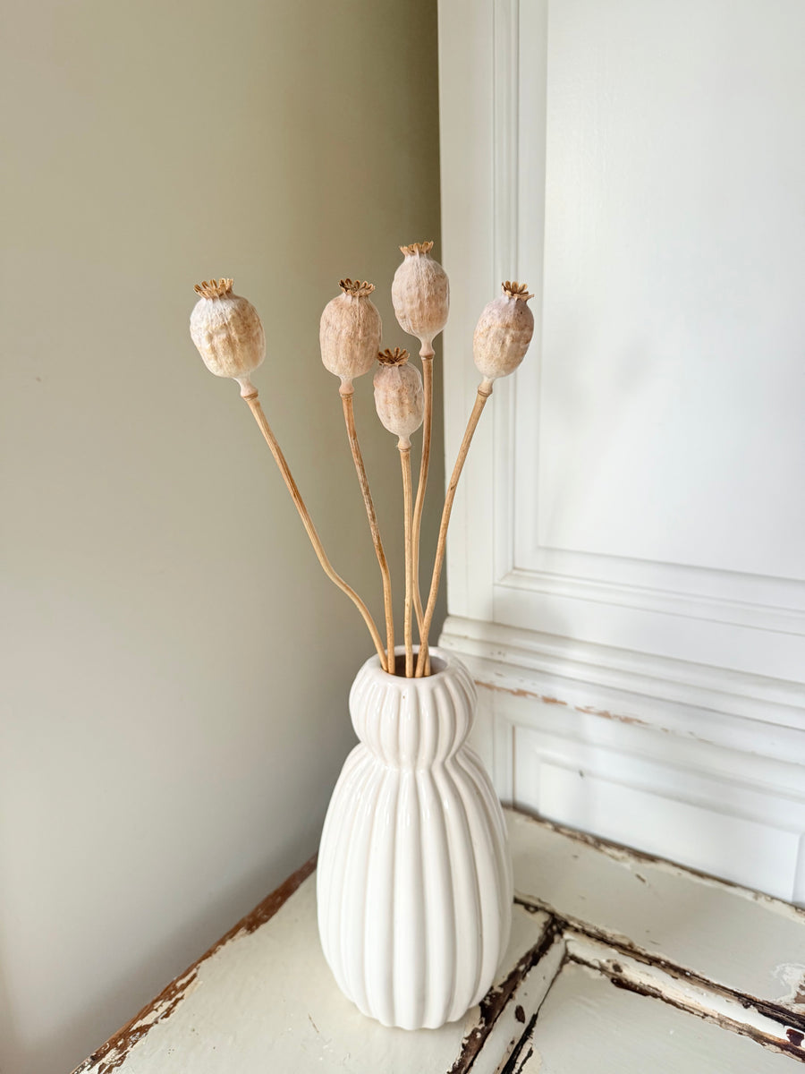 Naturally Dried Poppy Pods* / Papaver - natural brown