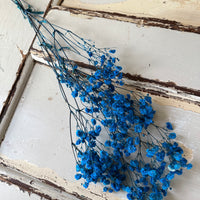 Preserved Baby's Breath