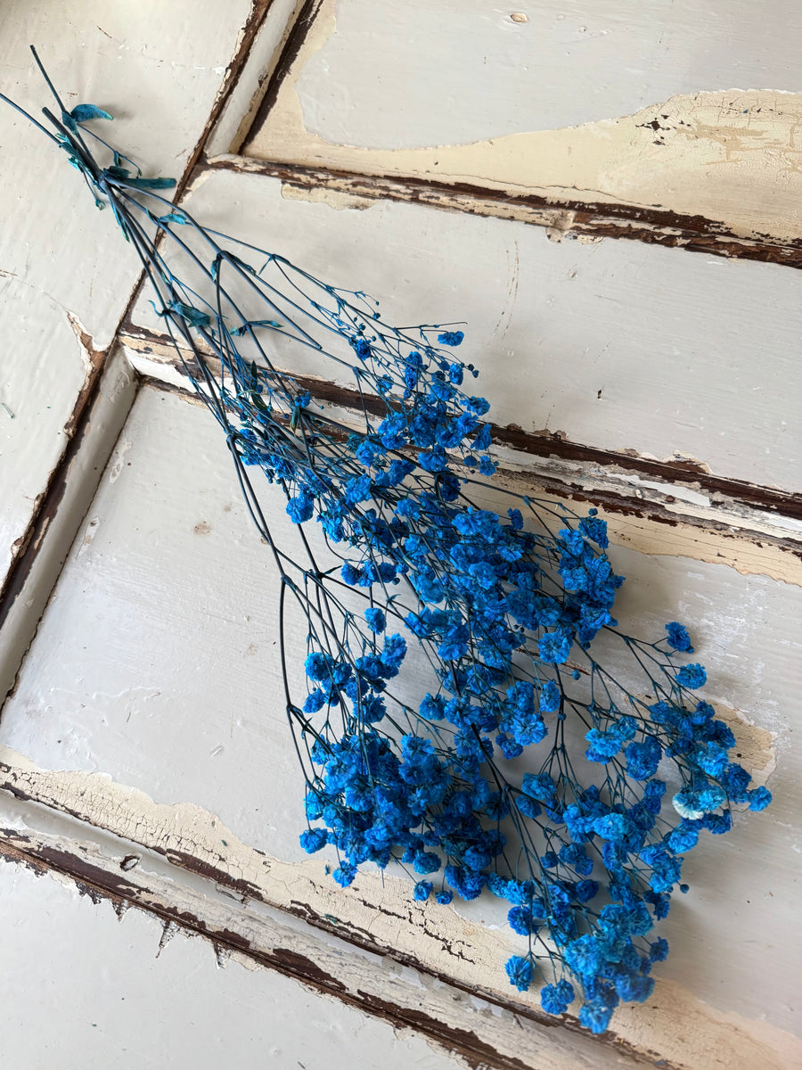 Preserved Baby's Breath