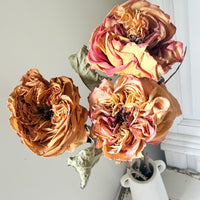 Dried Rose