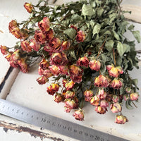 Dried Spray Mini Rose