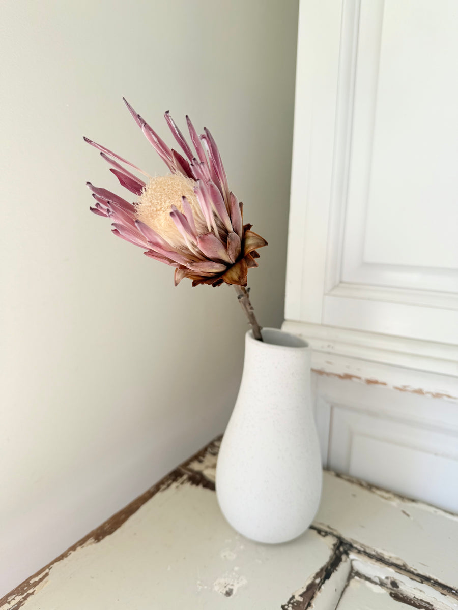 Naturally Dried Banksia & King Protea & Protea - Australian Native