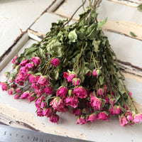 Dried Spray Mini Rose