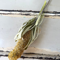 Naturally Dried Banksia & King Protea & Protea - Australian Native