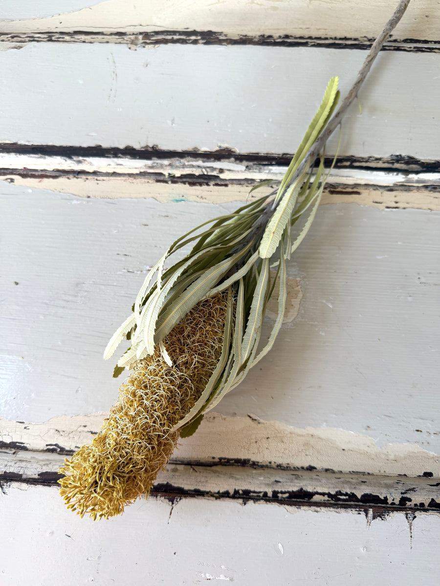 Naturally Dried Banksia & King Protea & Protea - Australian Native