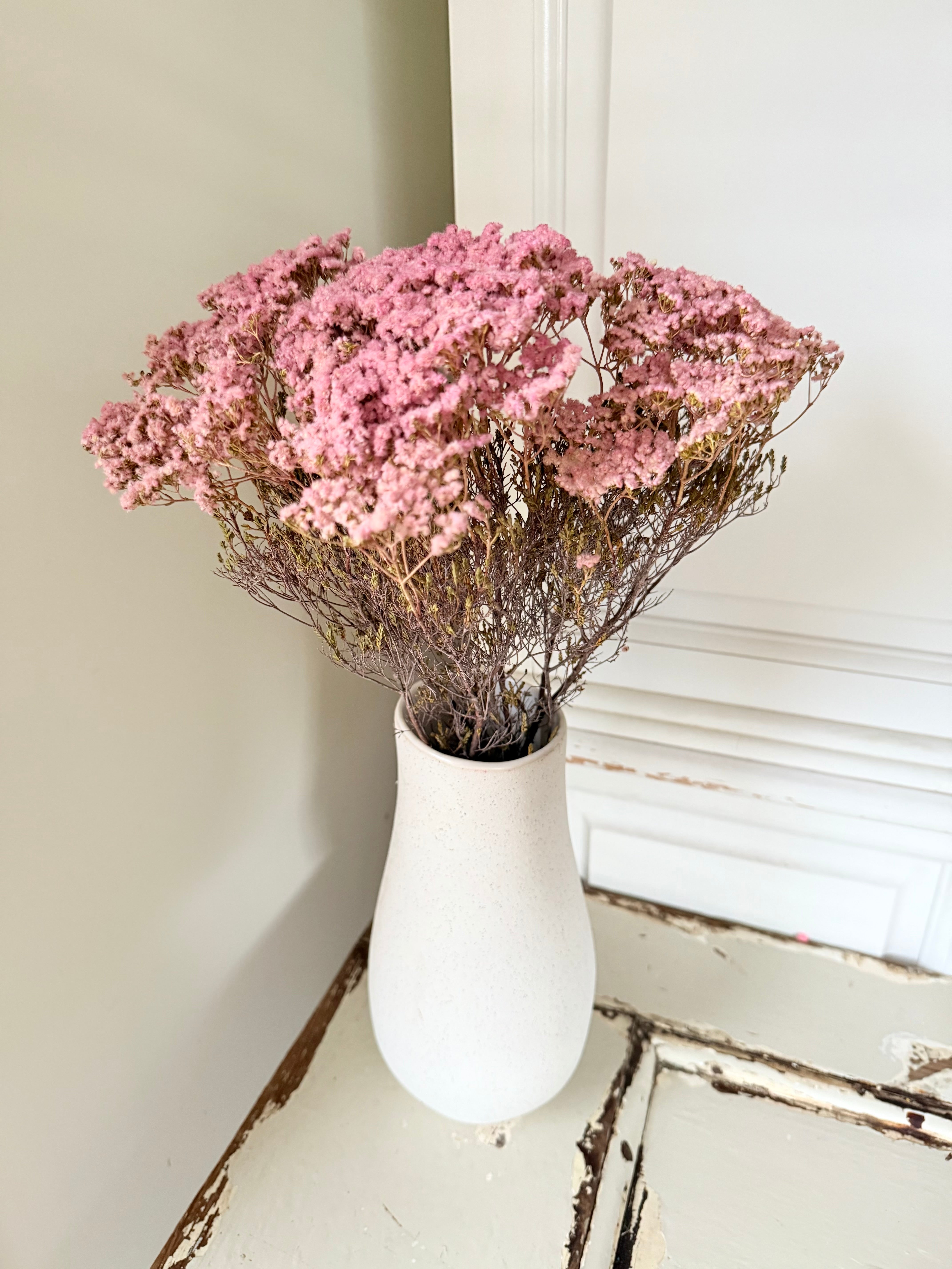 Naturally Dried Brownii / Verticordia - Austrailan Native – FLEURI flowers