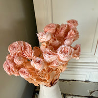 　[Colourful] Outlet & Samples