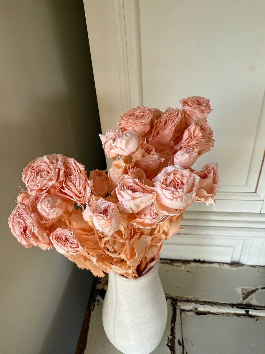 　[Colourful] Outlet & Samples