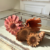 Dried Protea Repens