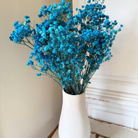 Preserved Baby's Breath