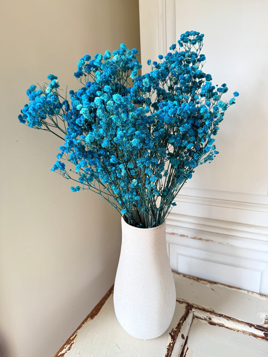 Preserved Baby's Breath