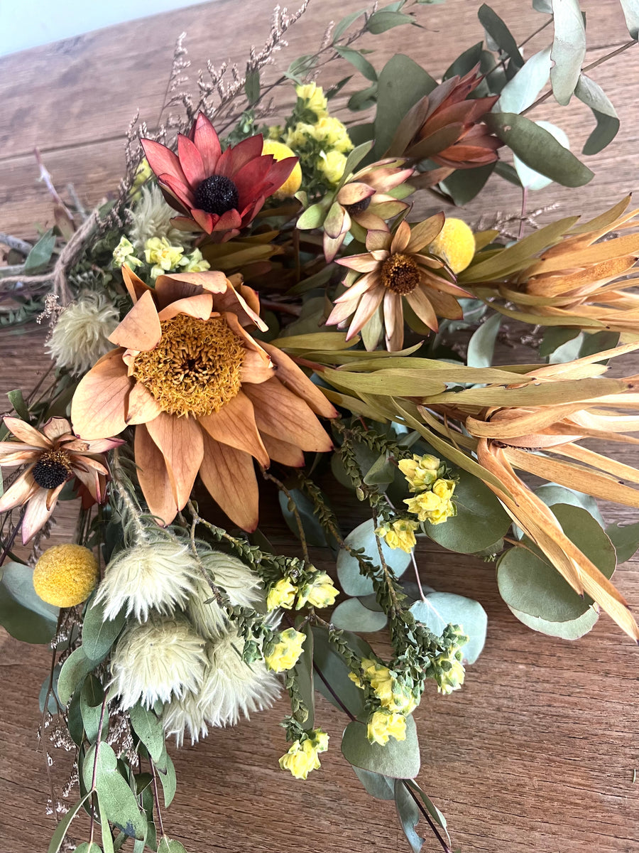 Leucadendron Sunshine Bouquet [Mini/SM/M] native