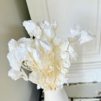 　[Colourful] Outlet & Samples