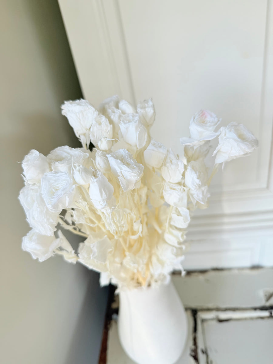 　[Colourful] Outlet & Samples