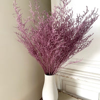 Soft / Vivid Hue Preserved Limonium | Misty | Sea Lavender