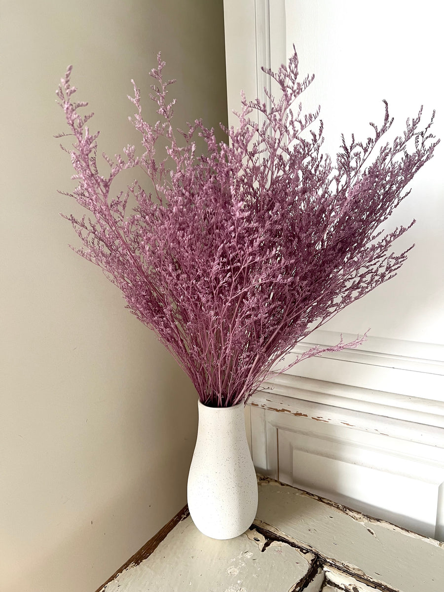 Soft / Vivid Hue Preserved Limonium | Misty | Sea Lavender