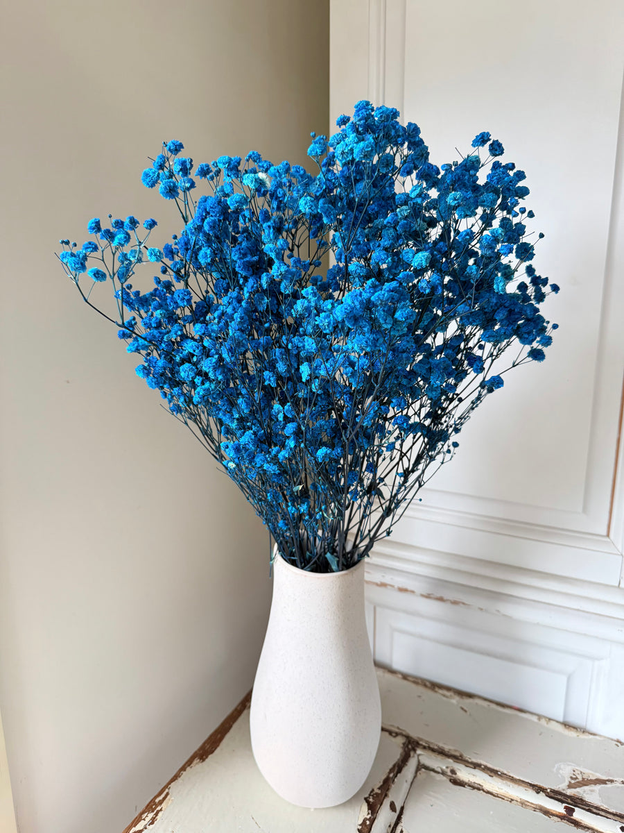 Preserved Baby's Breath
