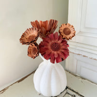 Dried Protea Repens