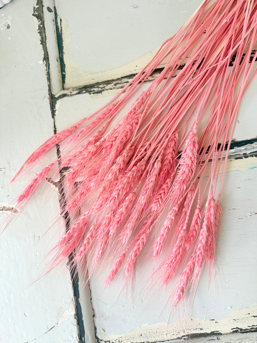 Dried Wheat