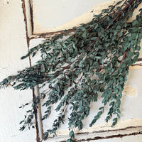 直销店 &amp; 样品 [花茎 / 绿叶]