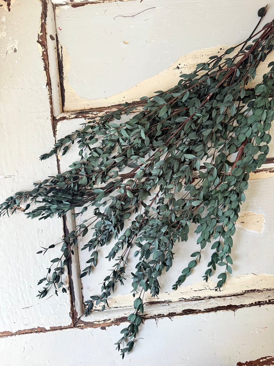 直销店 & 样品 [花茎 / 绿叶]