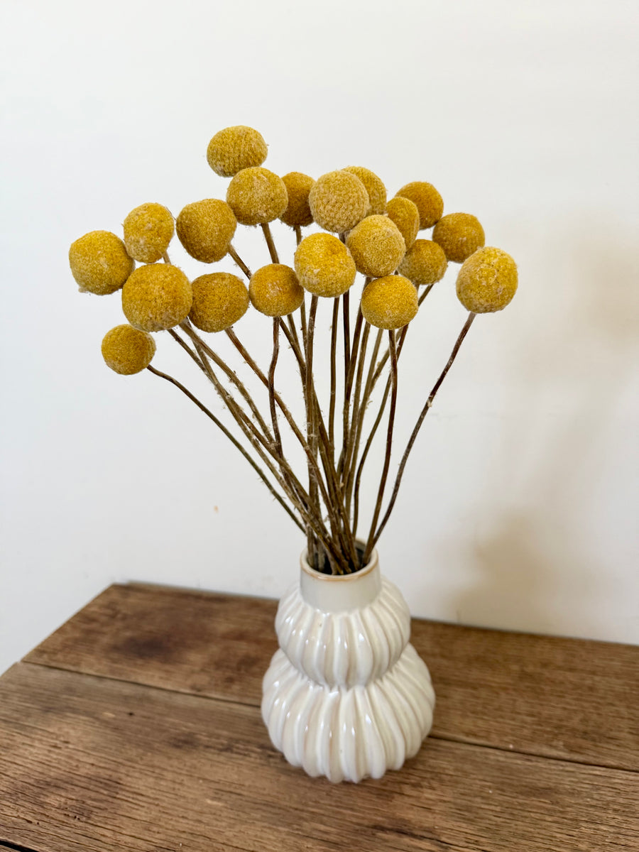 Naturally Dried Billy Button / Craspedia - Yellow