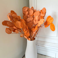 Outlet & Sample [flower stems / greenery]